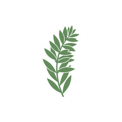 Tarragon Plant Side View Layered Leaves Strong Silhouette Botanical Vector