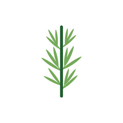 Fototapeta premium Tarragon Plant with Bold Stem Emphasis Flat Botanical Herb Vector Illustration