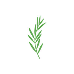 Fototapeta premium Tarragon Plant with Clean Botanical Icon Style Flat Herb Vector Detailed Illustration