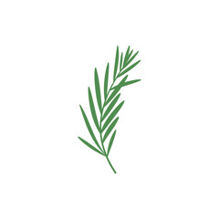 Fototapeta premium Tarragon Plant with Slight Asymmetry Natural Feel Decorative Flat 2D Botanical Vector Illustration