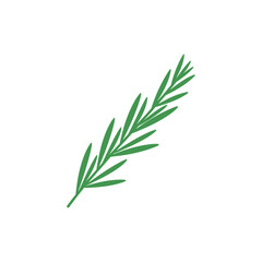 Fototapeta premium Tarragon Sprig Angled Slightly Left Herbal Vector Botanical Illustration Garden Plant