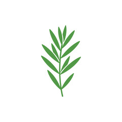 Fototapeta premium Tarragon Sprig with Graphic Flat Look Botanical Herb Illustration Fresh Green Foliage