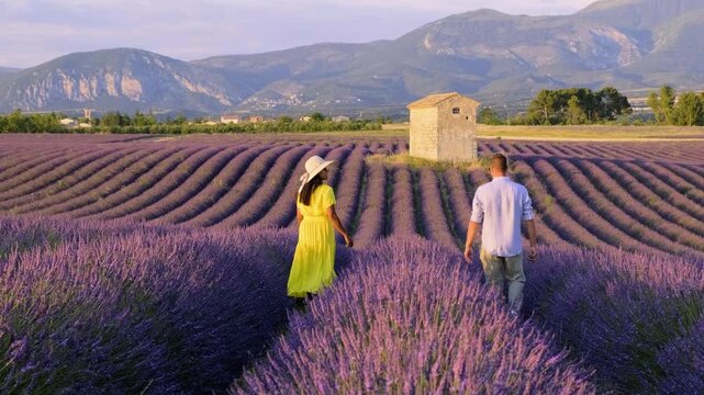 A couple walks hand in hand through vibrant lavender fields on the Valensole Plateau, Provence, France. Set against stunning mountains, the scene captures the essence of romance and natural beauty.