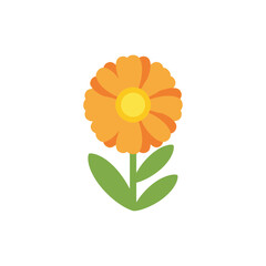 Calendula Botanical Icon with Friendly Style Bright Floral Illustration for Design