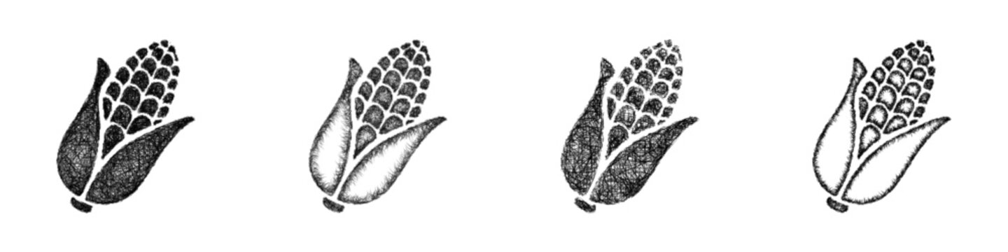 Sketch corn icon design set