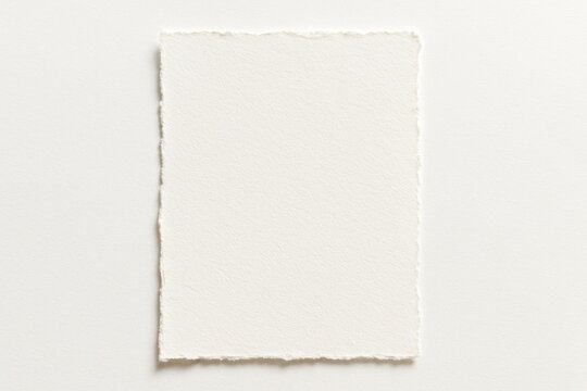 Textured blank paper with deckled edges.