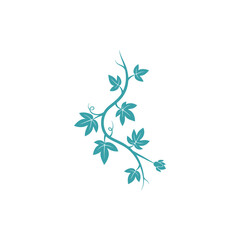 Fototapeta premium Passionflower Vine with Branching Pattern and Detailed Axils, Tropical Plant Art