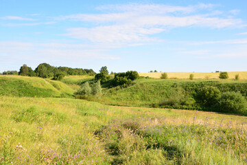 summer Landscape with green hills and yellow fields Under a Clear Summer Sky