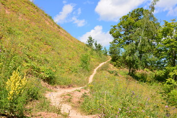 hiking on a Winding Path Up a Grassy Hill on a Sunny Day