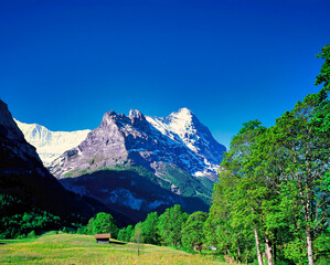 グリンデルワルト村のアイガー北壁の絶景 © san724