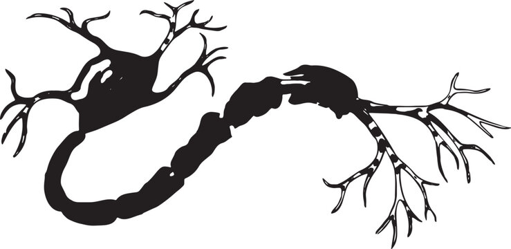 A stylized illustration that illustrates the communication between two neurons