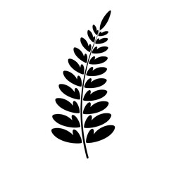 Detailed Fern Leaf Branch Silhouette for Forest Themed Design