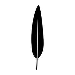Single Long Narrow Leaf Silhouette Minimalist Nature Element
