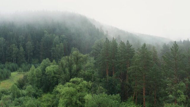 Southern Urals in summer: fog in the mountains. Aerial view.