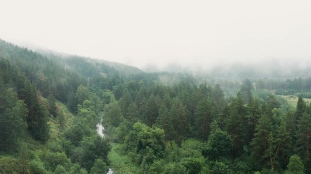Southern Urals in summer: fog in the mountains. Aerial view.