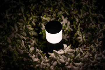 都心散歩　雪景色のお庭