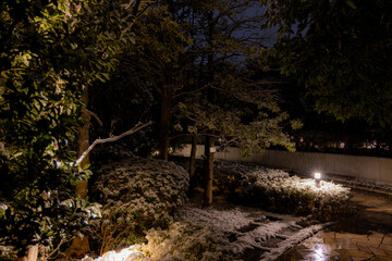 都心散歩　雪景色のお庭