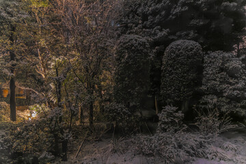 都心散歩　雪景色のお庭