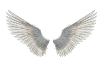 Obraz premium A majestic pair of realistic white feathered wings, meticulously detailed with natural sheen, isolated on a pristine transparent background with copy space, professional studio photo, concept of