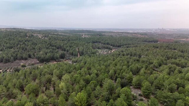 Aerial View Of Ben Shemen Forest Israel

Drone footage captured on February 12 2026 showing vast Ben Shemen woodland landscape Israel
