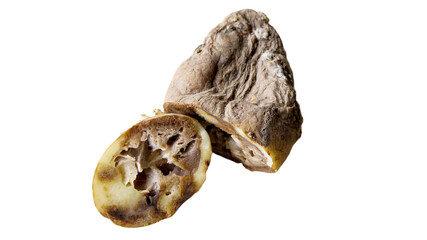 Tuber is cut in half to show the inside texture with a rough outer surface. The light shines on the...