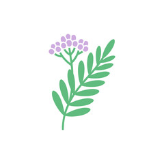 Yarrow Single Leaf Spray with Small Lavender Flower Buds, Solid Color Minimal Vector