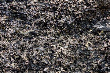 weathered coral rock texture with natural holes and patterns © explorewithinfo