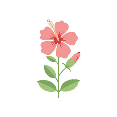 Hibiscus Flower Full Plant Flat Vector Illustration, Tropical Botanical Floral Design