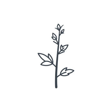 Hibiscus Stem with Stipules Small Leaves Flat Botanical Solid Color Vector