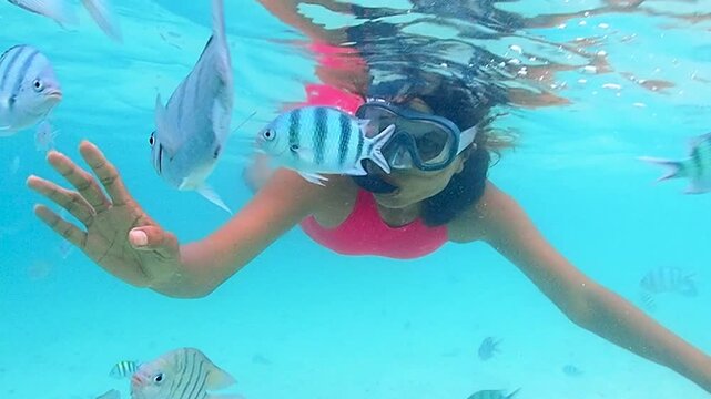 Immerse yourself in the clear blue waters of Samaesan, Thailand, as colorful fish swim all around.