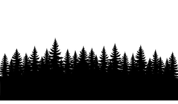 Evergreen Forest Skyline Silhouette Black Fir and Spruce Trees Vector Illustration