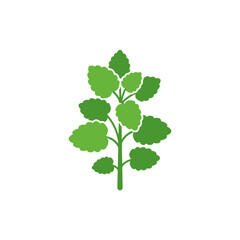 Naklejka premium Lemon Balm Herb Icon Bold Flat Colors Clear Plant Shape Vector Illustration