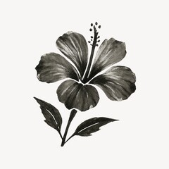 Fototapeta premium Monochrome hibiscus flower illustration
