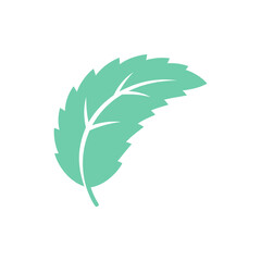 Curved Mint Leaf with Jagged Edges Flat Herbal Botanical Vector Illustration © Vector Alchemy 