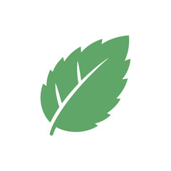 Flat Mint Leaf with Folded Tip Botanical Herbal Vector Illustration © Vector Alchemy 
