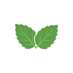 Two Mint Leaves Joined at Base, Clean Flat 2D Botanical Vector Illustration © Vector Alchemy 