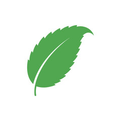 Single Mint Leaf with Curved Tip Green Herbal Flat 2D Vector Illustration © Vector Alchemy 