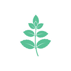 Symmetrical Mint Branch with Five Leaves on Each Side Herbal Flat 2D Vector Illustration