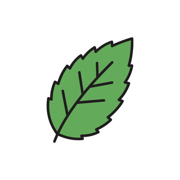 Single Mint Leaf with Sharp Edges Solid Green Herbal Flat 2D Vector Icon