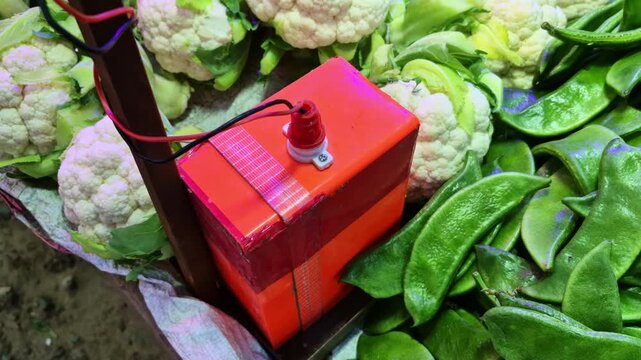 A high-angle shot featuring an orange battery pack with exposed wiring, positioned between fresh cauliflowers and green flat beans. The video captures the makeshift lighting setup used at an outdoor e