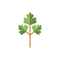 Parsley Sprig Label Illustration Fresh Herb Leaves Culinary Botanical Design