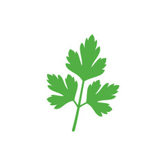 Parsley Sprig Silhouette Bright Illustration Fresh Herb Culinary Plant Vector