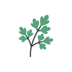 Obraz premium Parsley Sprig Vector Design with Green Leaves, Culinary Herb Illustration and Kitchen Use