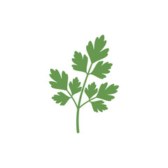 Parsley Sprig Tableau Design with Fresh Green Leaves, Culinary Herb and Organic Illustration