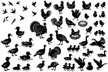 Poultry yard silhouette vector clipart set with chickens roosters turkeys ducks and geese for farm branding rustic packaging and country lifestyle design © Dmitry