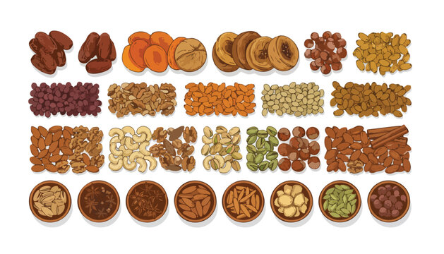 Diverse Premium Selection of Dried Fruits and Nuts for Healthy Eating and Corporate Wellness Programs