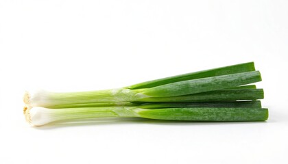 zucchini on a white background