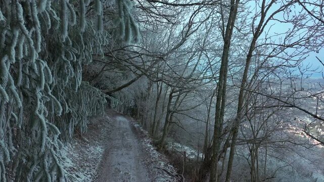 Beautiful snowy woodland path surrounded by frozen trees and frosted branches. Calm winter scenery with soft natural light. Ideal as nature background or atmospheric travel footage.