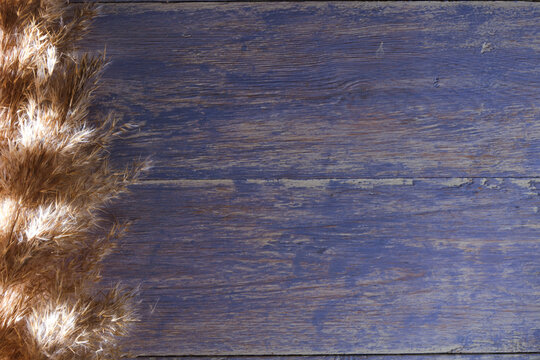 Horizontal blue painted wood texture with heavy distressing and bunch of dried reeds on left side. Rustic coastal or provence style.