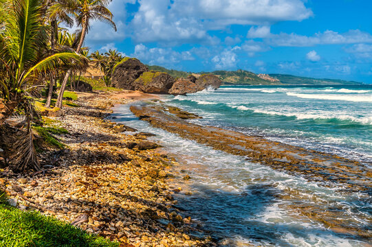 A view across the wide bay and rocky shoreline at Bathsheba on the Atlantic coast of Barbados in January